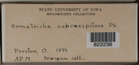 Image Associated With the Occurence